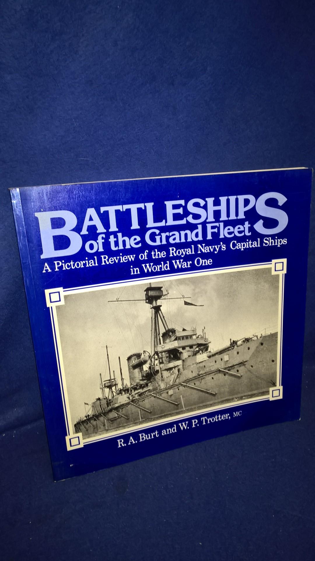 Battleships of the Grand Fleet. A Pictorial Review of the Royal Navy's Capital Ships in World War One.